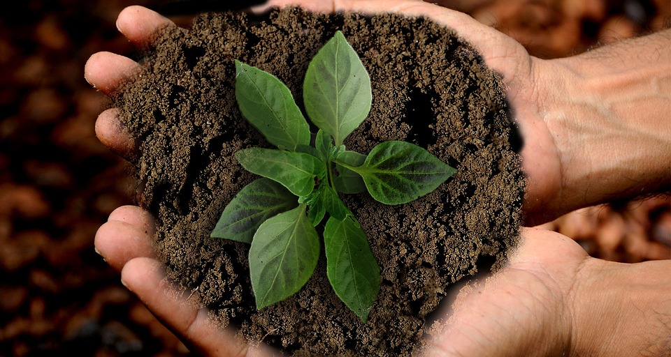 What retailers can learn from 2019’s sustainability movement