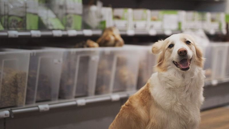 Musti Group extends RELEX Solutions tie-up to strengthen pet care specialist’s end-to-end supply chain