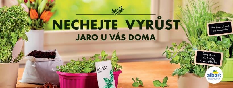 Albert Czech Republic boosts warehouse operations with voice tech