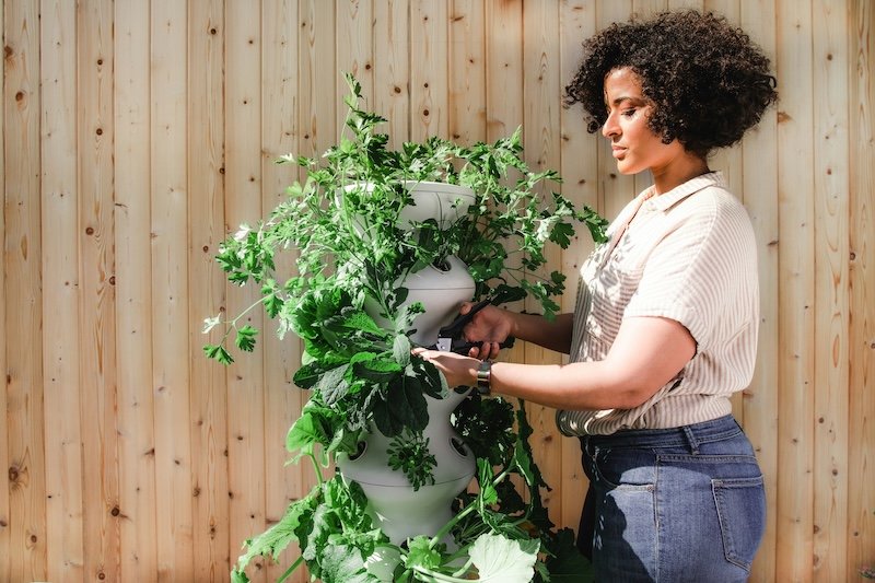A quick look at how gardening technology is revolutionising horticulture