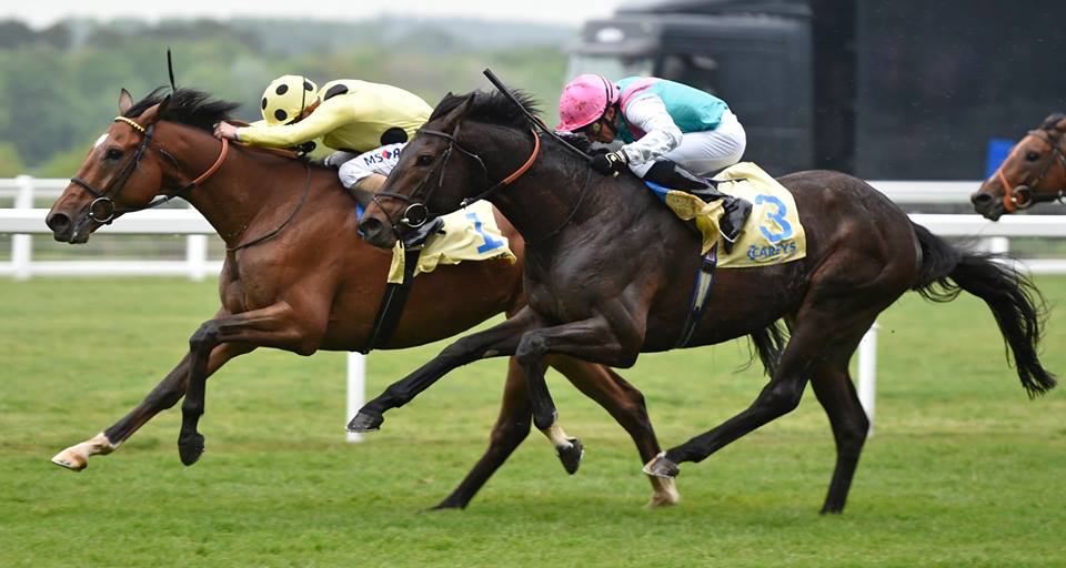 Global first for racing as Ascot goes contactless