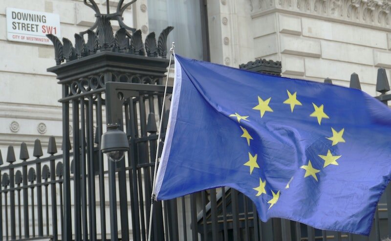 Meadow Foods tackles Brexit with Descartes e-Customs solution
