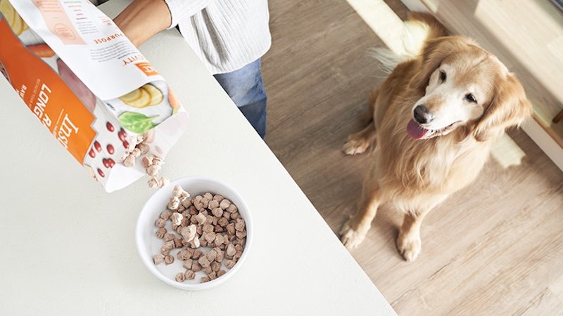 Instinct Pet Food taps Demand Chain AI technology as it looks to enhance its supply chain processes