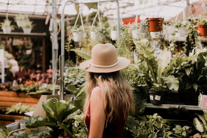 eBay Advertising research shows Brits prioritising their gardens this spring despite financial pressures