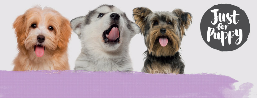 Pets at Home deploys Upland Software CX tech
