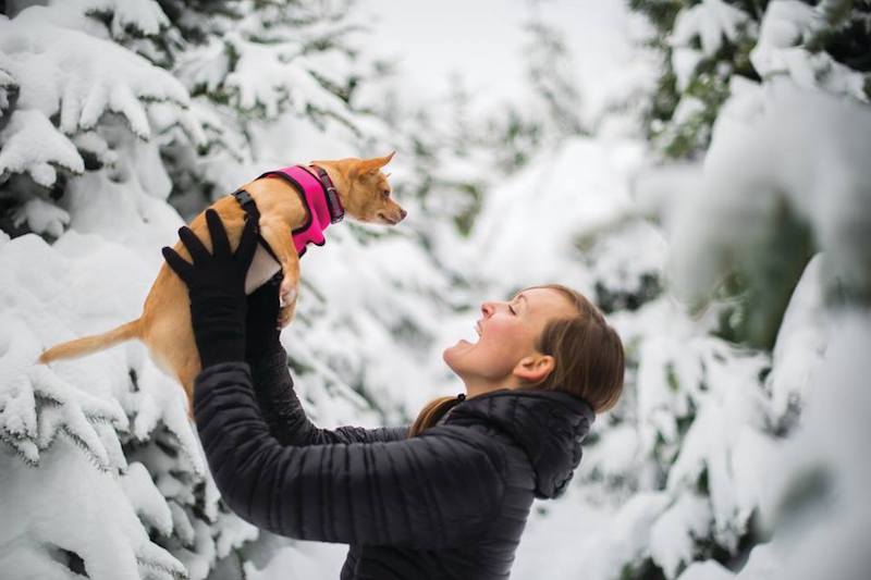 Lolli announces Petco Bitcoin rewards partnership