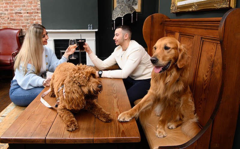 Dating app Tinder preps The Bark & Spark pop-up pub experience