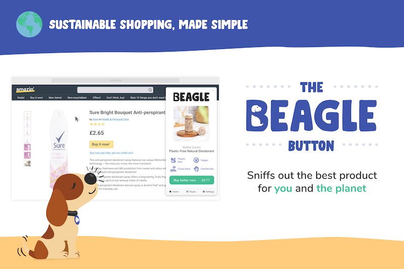 Startup Stories: Daniel Hemsley, Co-founder, The Beagle Button