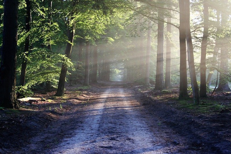 UK retailers not out of woods yet after joyful June
