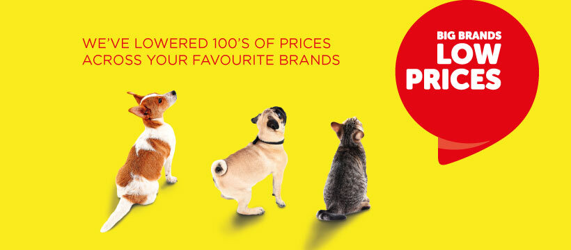 Jollyes boosts customer engagement and loyalty with new app