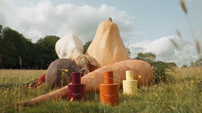 The Estée Lauder Companies and Jo Malone London launch experience exclusively available on Pinterest