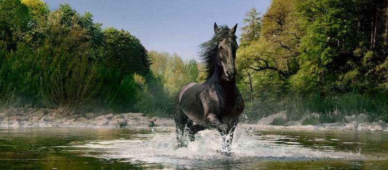 Lloyds Bank ramps up strategic payments partnership with FinTech big hitter FreedomPay