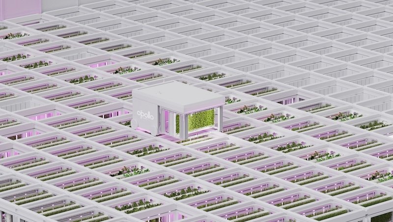 AutoStore OnePointOne robotic vertical farm taps automated cubic storage, supplying Whole Foods Market stores