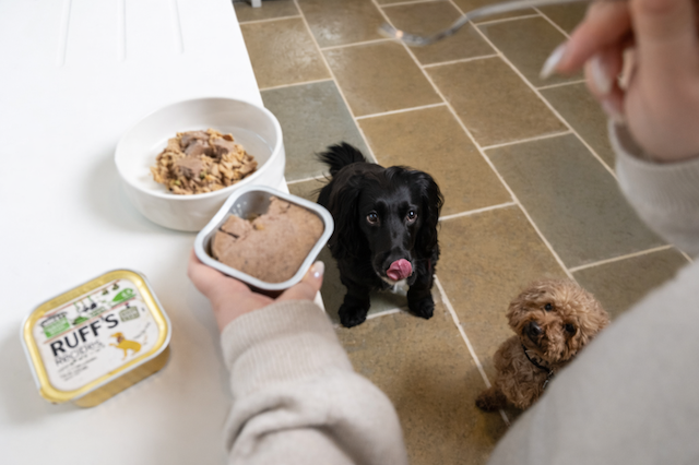 Industry veteran Phil Hackney returns to Pets at Home for Supply Chain and Distribution Director role