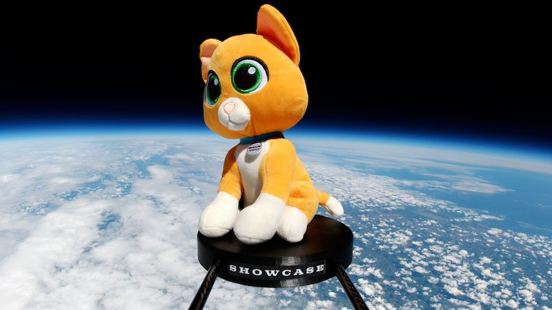 Showcase Cinemas sends Sox toy into space to mark release of Lightyear film
