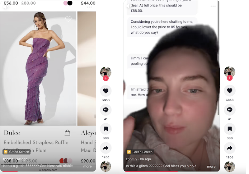 The price isn't right: online shoppers quibble as fashion retailer Oh Polly deploys AI chatbot Nibble