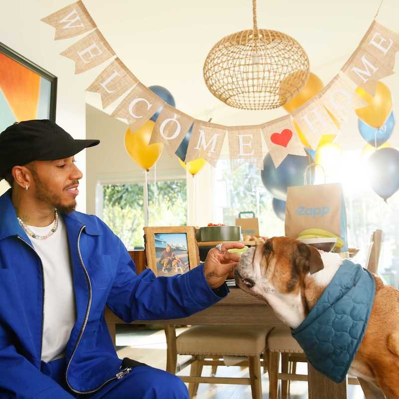 Lewis Hamilton and bulldog Roscoe celebrate end of F1 season in new Zapp ad