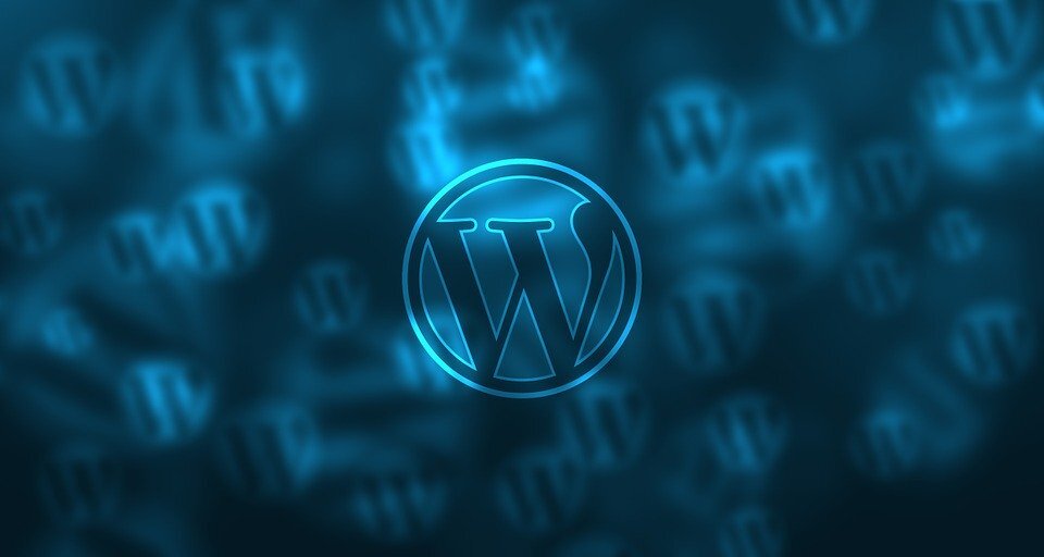 Choosing between Drupal and WordPress platforms