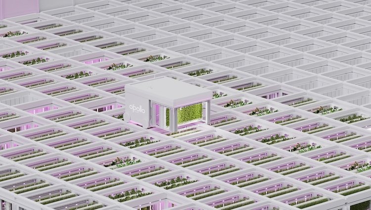 Retail technology innovation of the week: AutoStore powered Opollo Farm tackles major challenges in agriculture