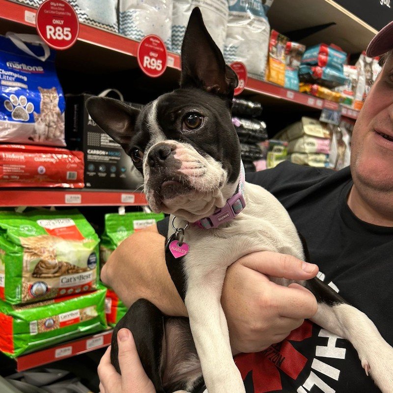 Unified space and demand planning specialist Quant Retail hooks Absolute Pets and Annabella as customers
