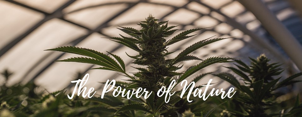 Sativa Store signs on with Fastbitcoins