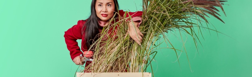 Bol.com adds sustainable products store