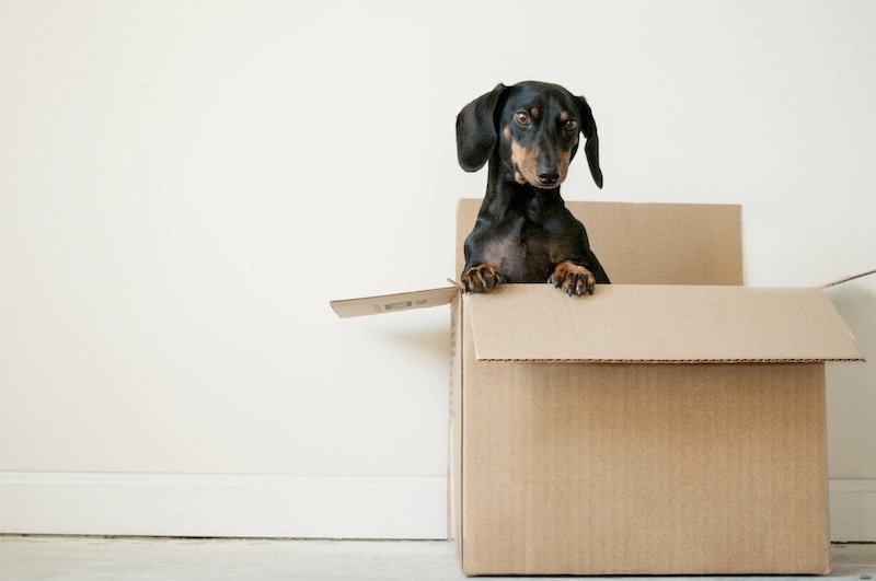 Five things to know about moving to Mesa, Arizona