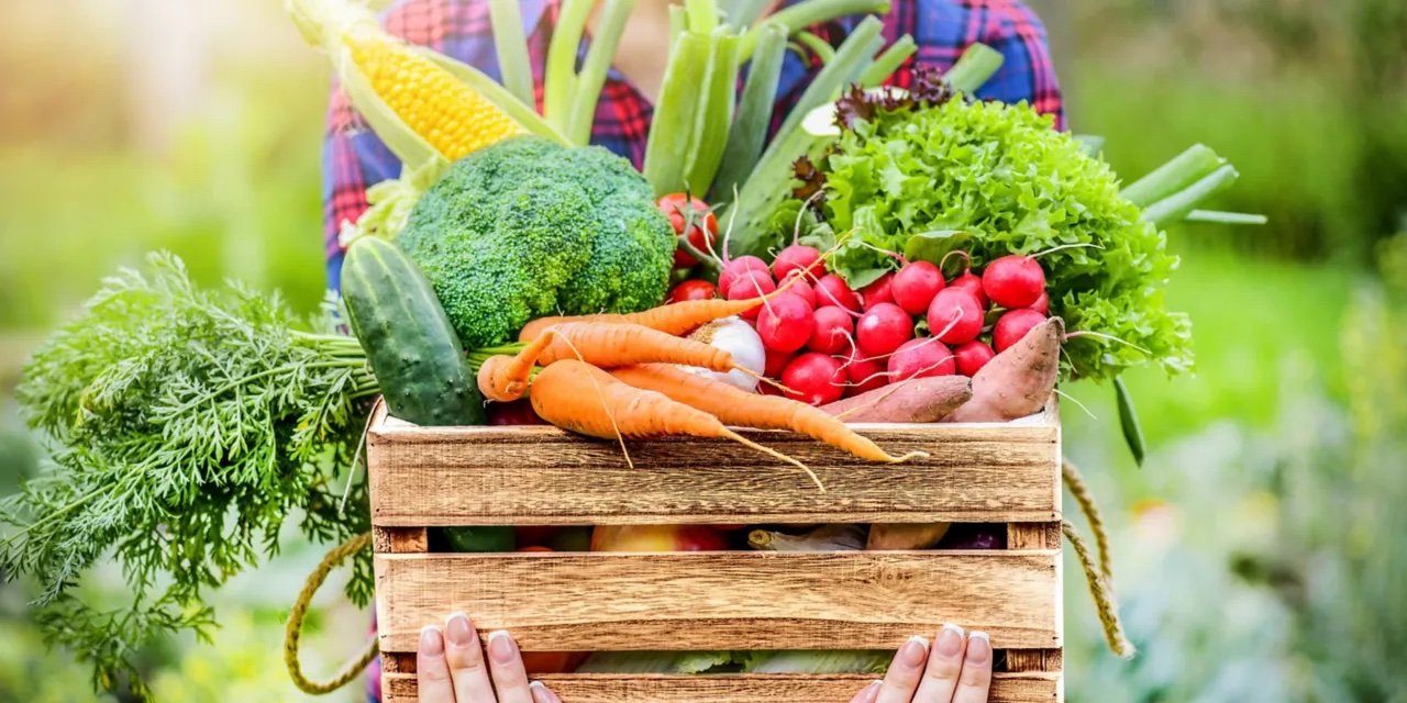 Organic Foods And Café enlists Honeywell for Solstice N40 refrigerant move