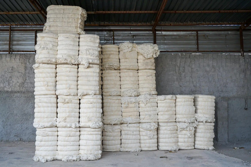 Better Cotton works with retailers and brands on new traceability solution for fashion and textile sectors