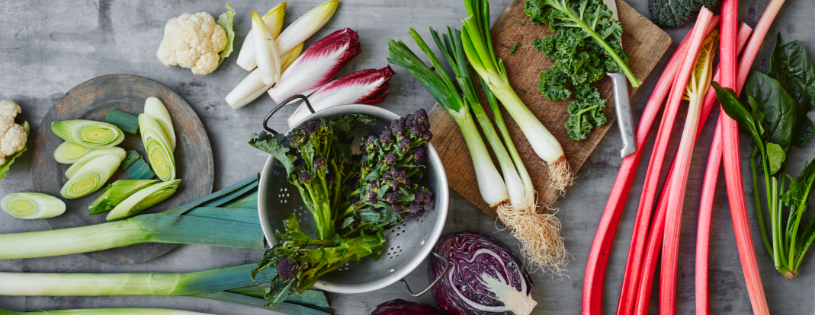 Ocado hits the north for new DCs