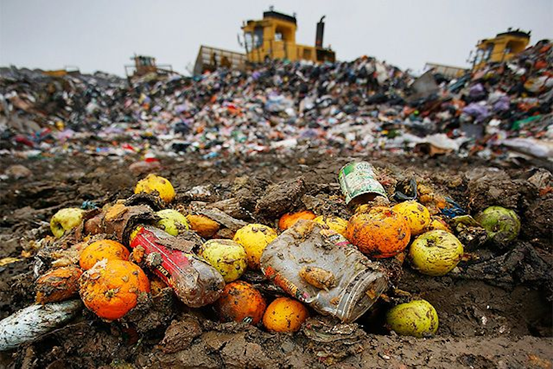 Wiliot’s Ohad Perry: food retailers can stem lost profits from waste with Ambient IoT technology