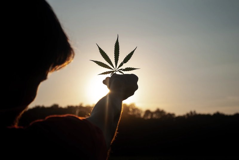 Four tips for shopping for dabber tools online