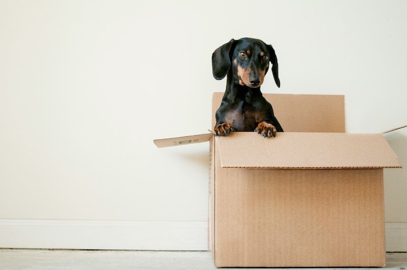 Ten tips to get more leads for your removal business