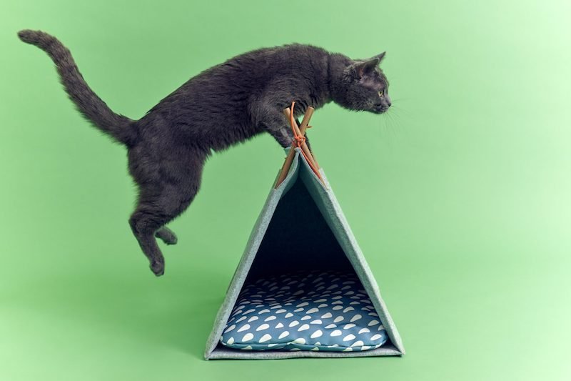 Ikea UK teams with Woodgreen and creates Cat-alogue and Dog-alogue for launch of retailer’s first pet range