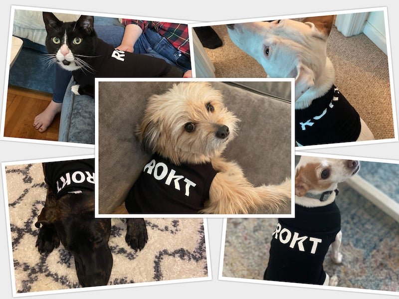Rokt brings in Google veterans as it builds out product development team