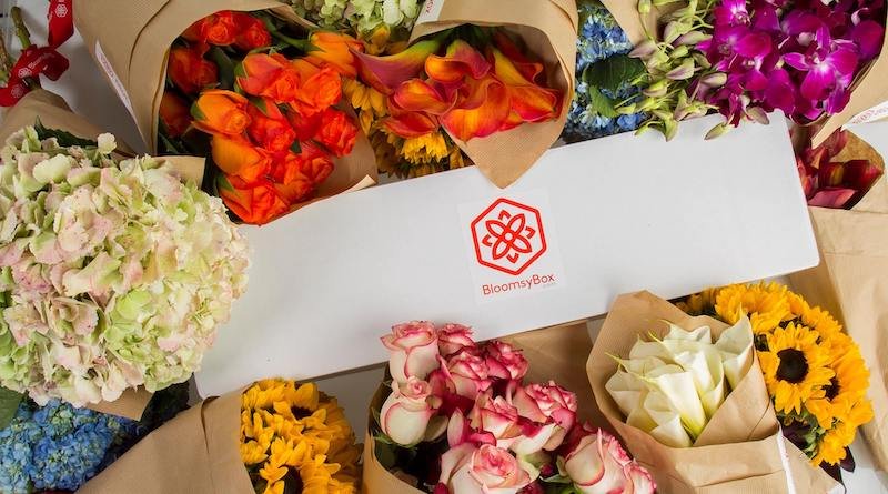 Infobip teams with BloomsyBox and Master of Code Global for Mother's Day activation
