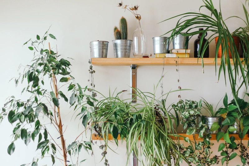 Criteo research: sustainable shoppers call for artificial intelligence powered, eco-friendly recommendations 