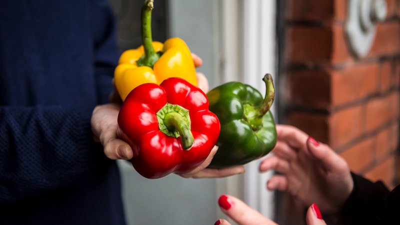 Too Good to Go and Olio shine as Europeans flock to food waste apps