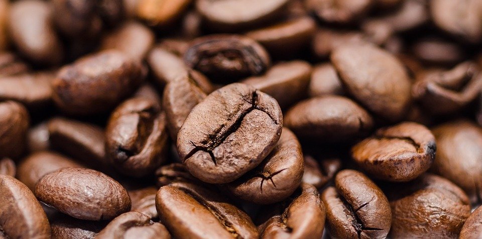 Farmer Connect taps IBM blockchain tech for coffee tracking app
