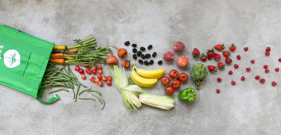 IGD predicts big things for online grocery sector