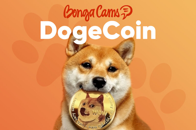 BongaCams adds Dogecoin as a payment option