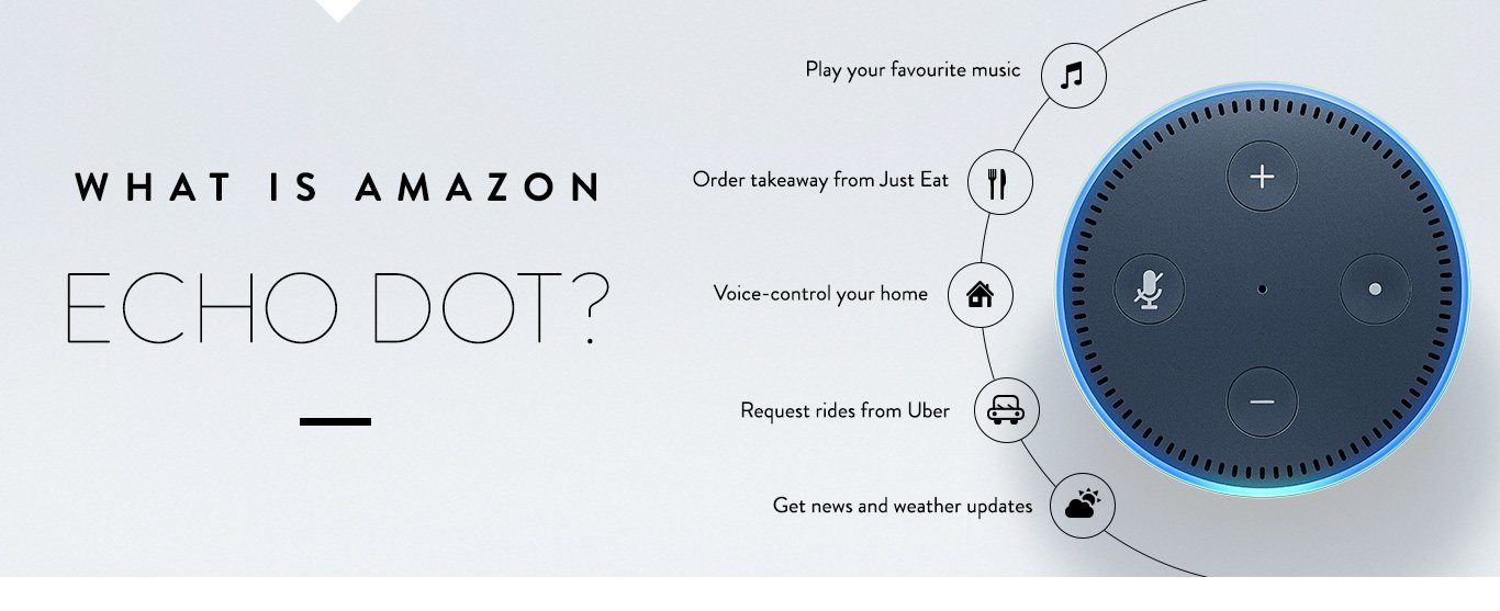Amazon rides out Echo Dot cat food controversy