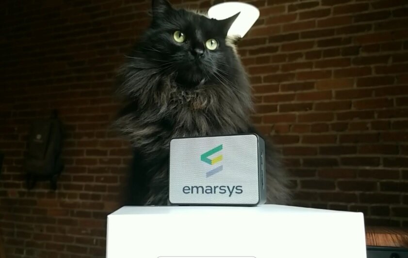 Ren’s Pets selects Emarsys as sales surge amid Covid outbreak