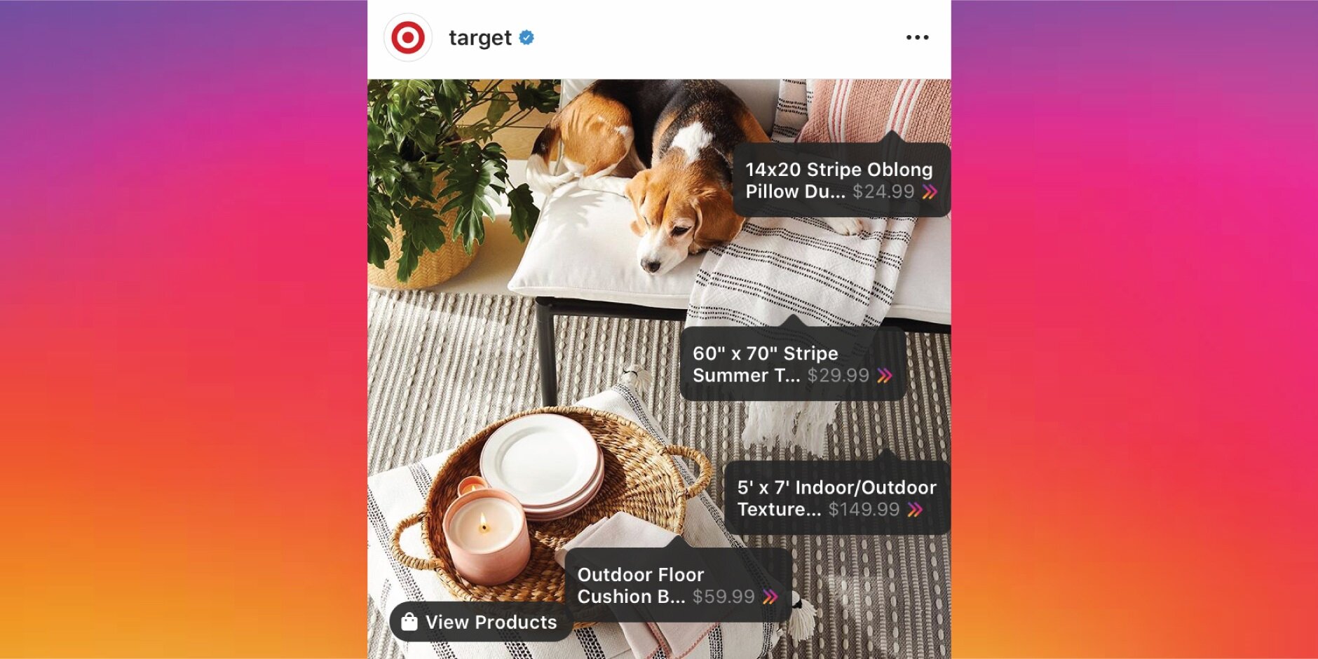 Target makes Instagram Checkout move