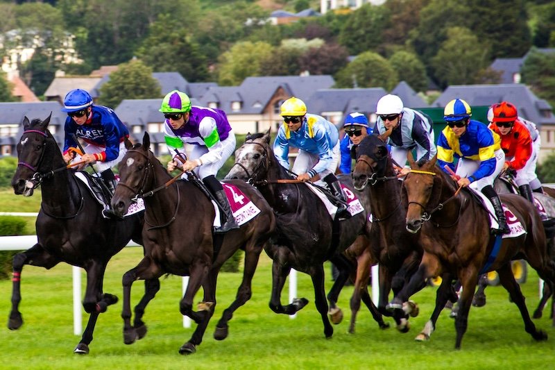 Innovation on track: how technology is modernising horse racing betting