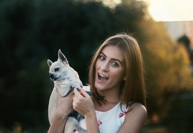Petbarn owner Greencross Pet Wellness Co. enlists Boomi for personalisation and IT efficiency push