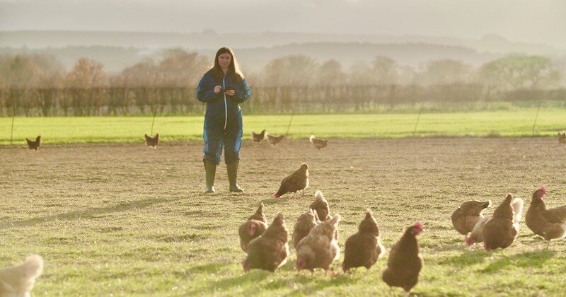 Waitrose tests out farm animal welfare mobile app