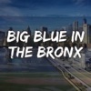 Artwork for Big Blue In The Bronx
