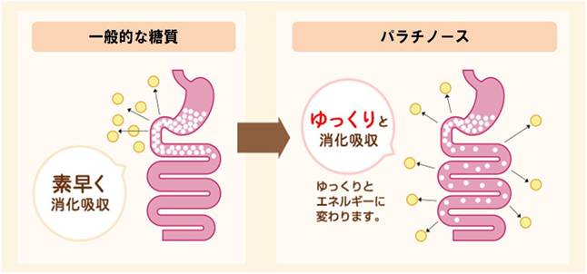 スローカロリー倶楽部