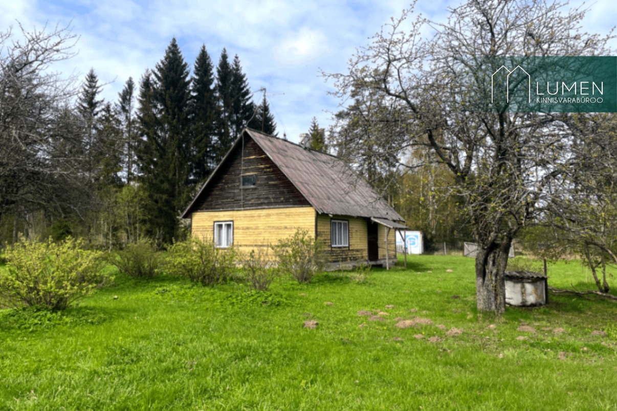 Lõokese